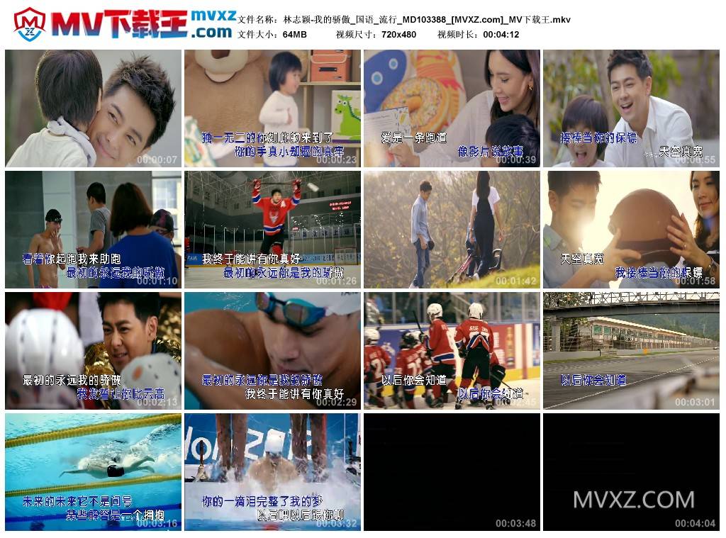 林志颖-我的骄傲_国语_流行_MD103388